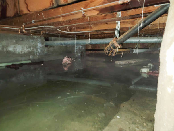 Best 24/7 water damage repair  in Woodlyn, PA