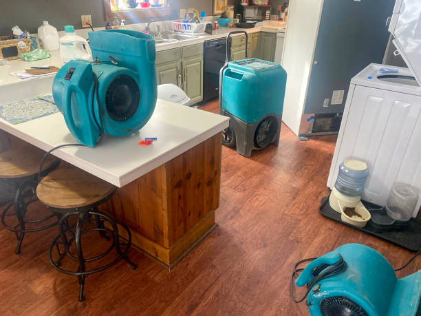 Best Water damage contractors near me  in Woodlyn, PA