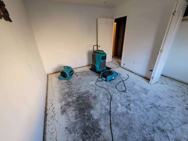 Best Professional water damage repair  in Woodlyn, PA