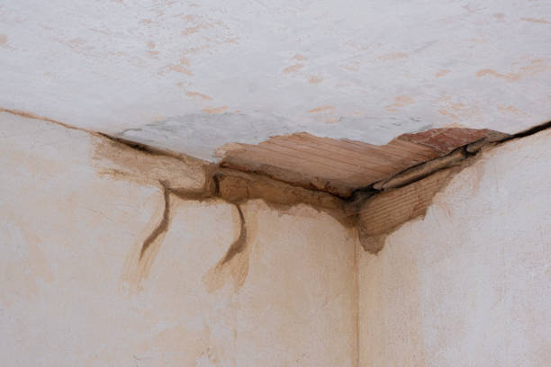 Best Carpet water damage restoration  in Woodlyn, PA
