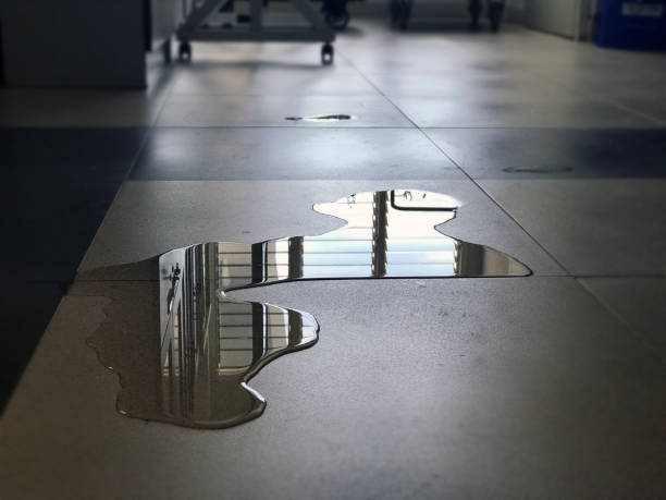 Best Water damage cleanup near me  in Woodlyn, PA