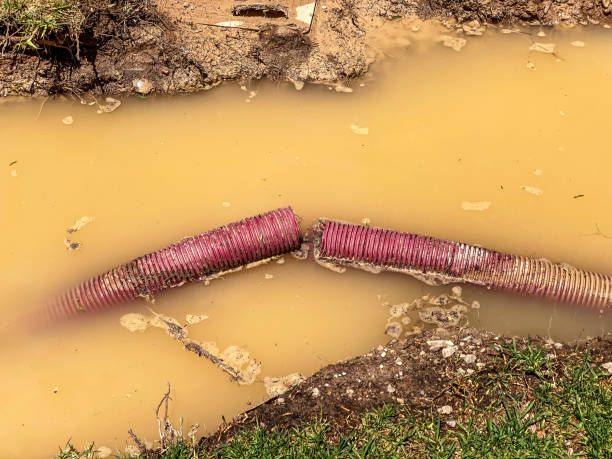 Best Water damage restoration specialists  in Woodlyn, PA