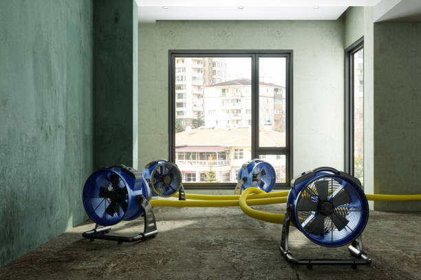 Best Basement water damage restoration  in Woodlyn, PA