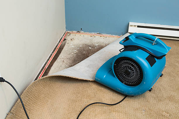 Best Water damage restoration near me  in Woodlyn, PA